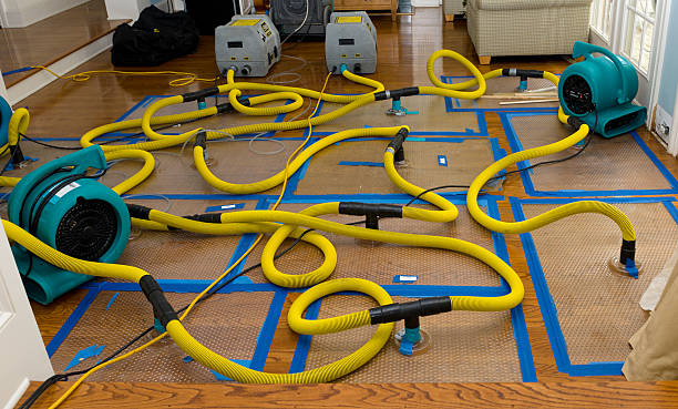 Professional Structural Drying And Dehumidification technician working in Silverton, OH